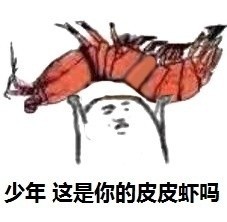 ƤƤϺ