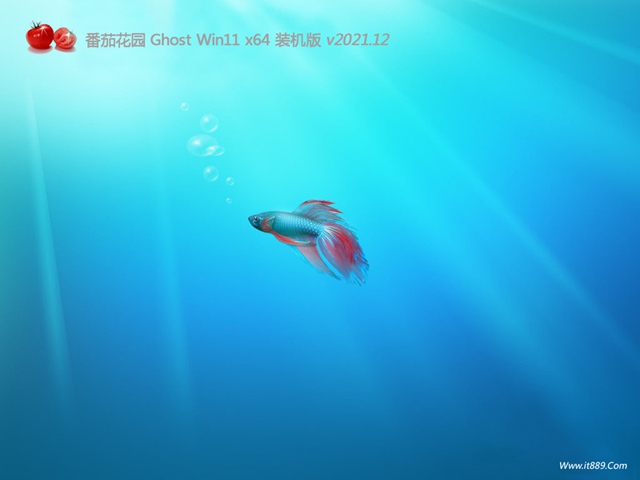 番茄花园最新win11 64位简体优化版v2021.1