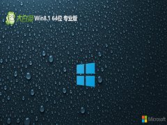 ײwin8.1޿Ȱ64λv2024.05⼤