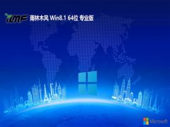 ľ64λwin8.1v2025.05