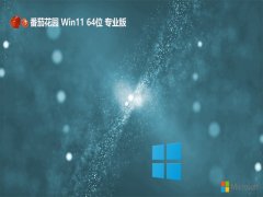 ѻ԰win11 64λ ⼤ٳv2024.05